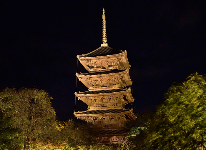JCB 秋の世界文化遺産 東寺 ライトアップ特別プランレポート