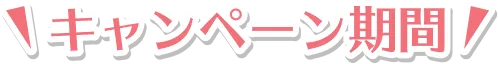 キャンペーン期間