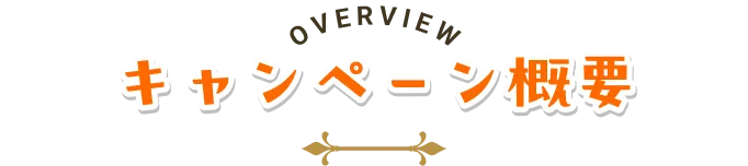 キャンペーン概要