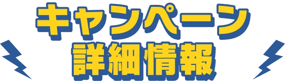 キャンペーン詳細情報