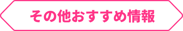 その他おすすめ情報