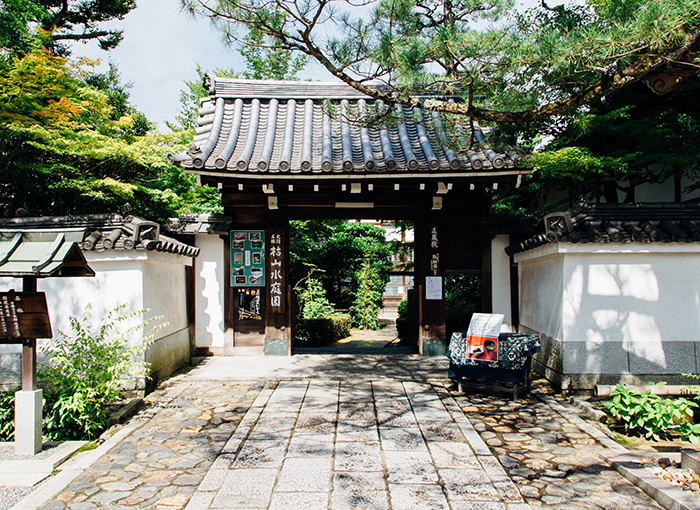 蓮の花と蓮づくしのお料理を楽しむ妙心寺の特別拝観レポート