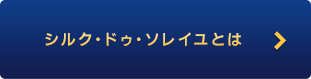 シルク・ドゥ・ソレイユとは