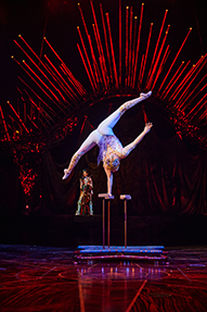 Hand Balancing & Contortion ハンドバランシング＆コントーション
